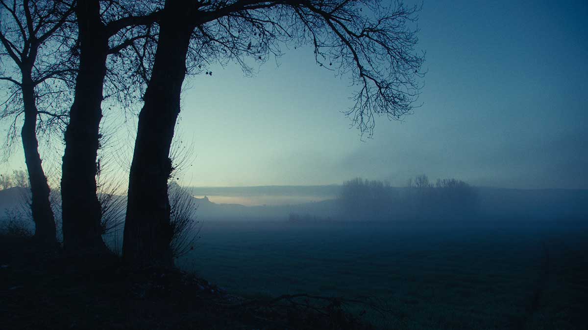 Instruccions per a ser un nen assenyat